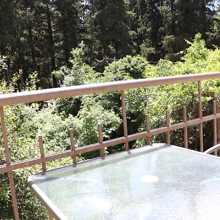 Aparmani Park Centar Apartment